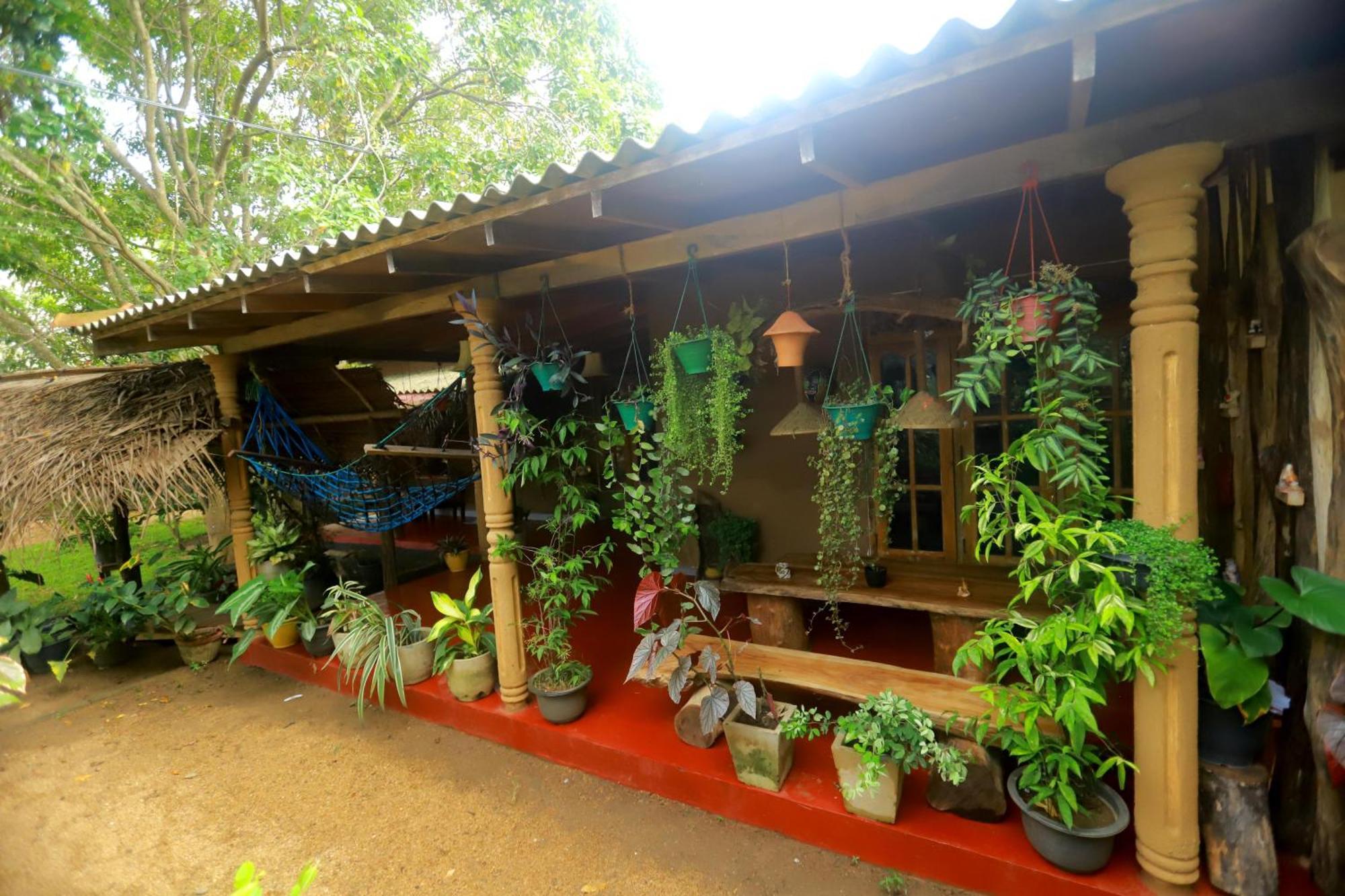 Dinna Nature Hostel シギリヤ エクステリア 写真