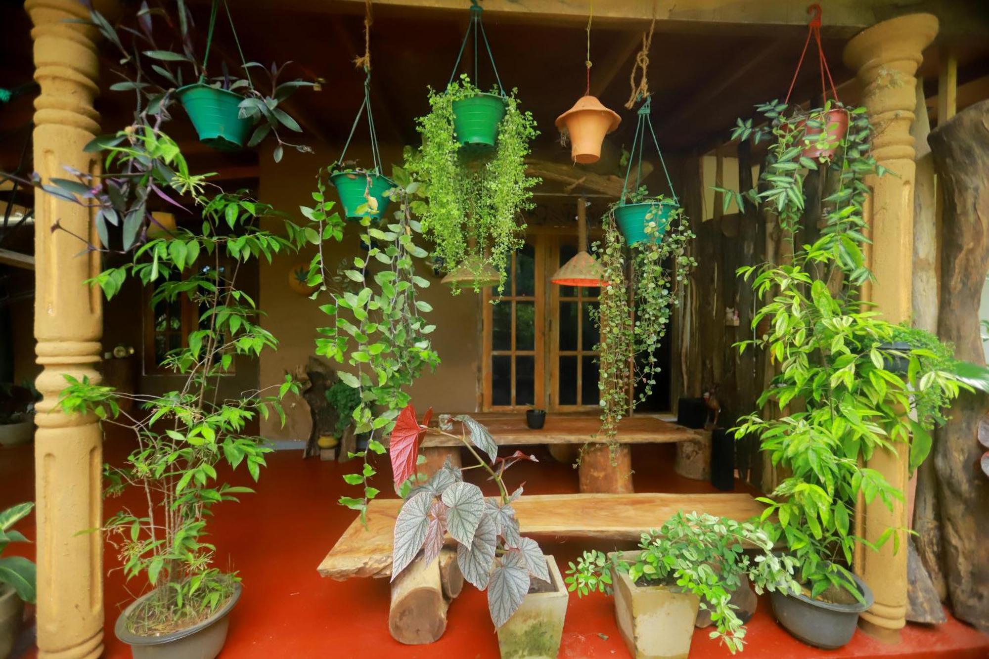 Dinna Nature Hostel シギリヤ エクステリア 写真