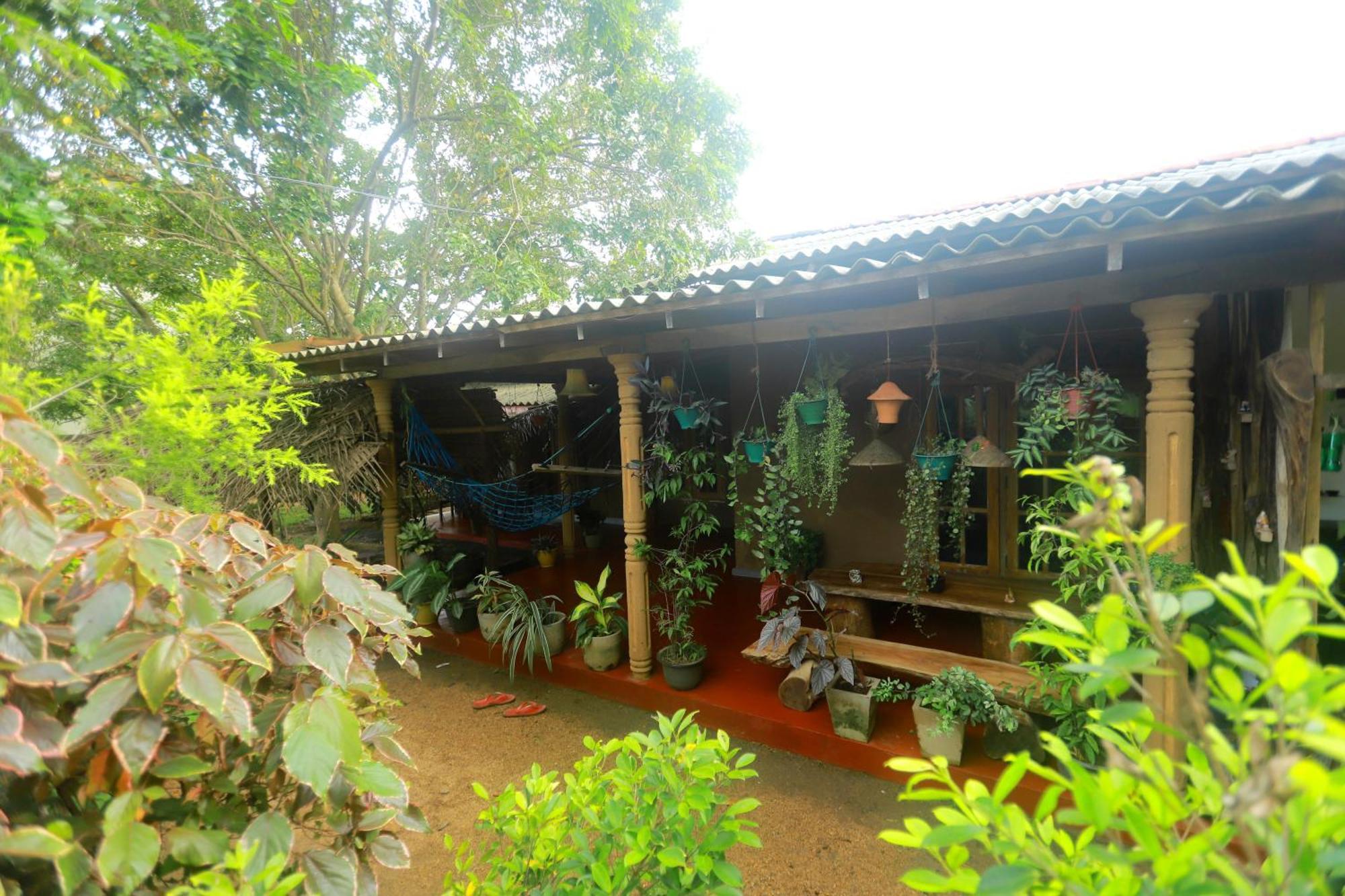 Dinna Nature Hostel シギリヤ エクステリア 写真